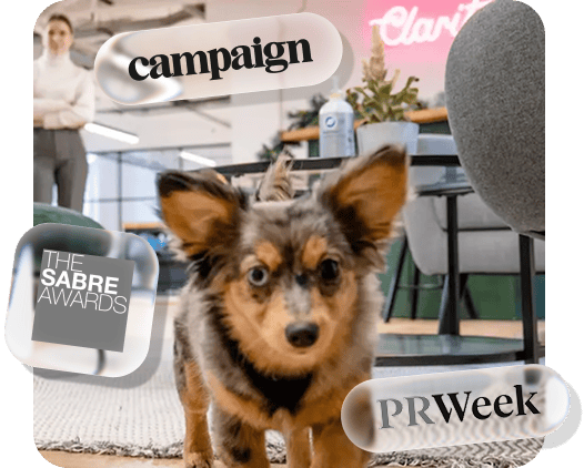 campaign