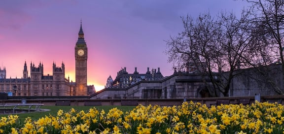 How Public Affairs Mitigates Business Political Risks
