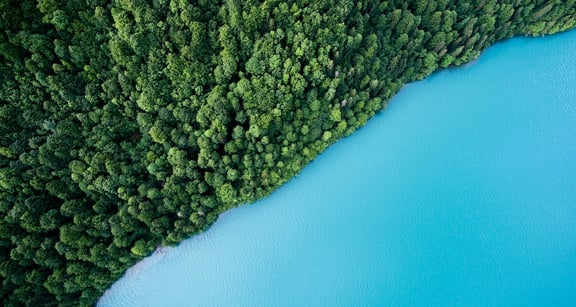 The Power of Sustainability Communications: Why Your Business Needs It