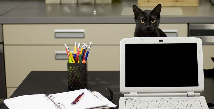 7 ways to land your second “real” job