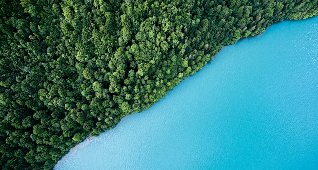 The Power of Sustainability Communications: Why Your Business Needs It